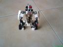 dsc00205.jpg