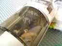 dsc00122.jpg
