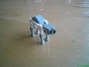 dsc00650.jpg