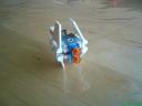dsc00639b.jpg