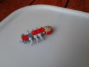 img-022.jpg