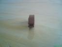 dsc00920.jpg