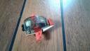 20160819_095333.jpg