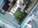 dsc00460.jpg