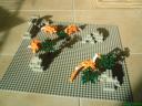 dsc00614.jpg