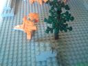 dsc00618.jpg