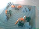 dsc00620.jpg