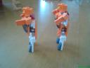 dsc00609.jpg