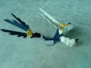 chimadragons-03.jpg