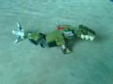 chimadragons-09.jpg
