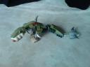 chimadragons-10.jpg