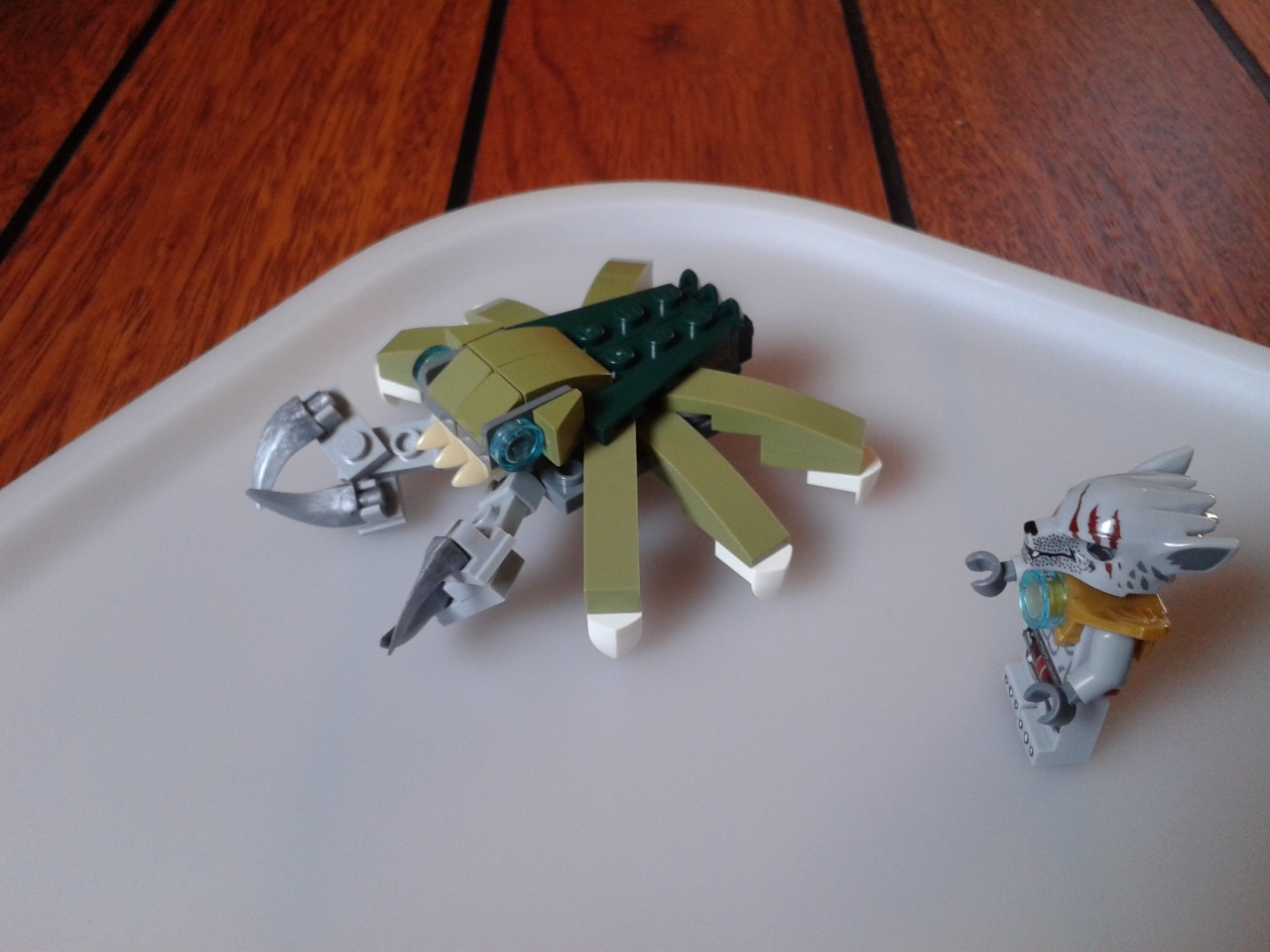 crab-3.jpg