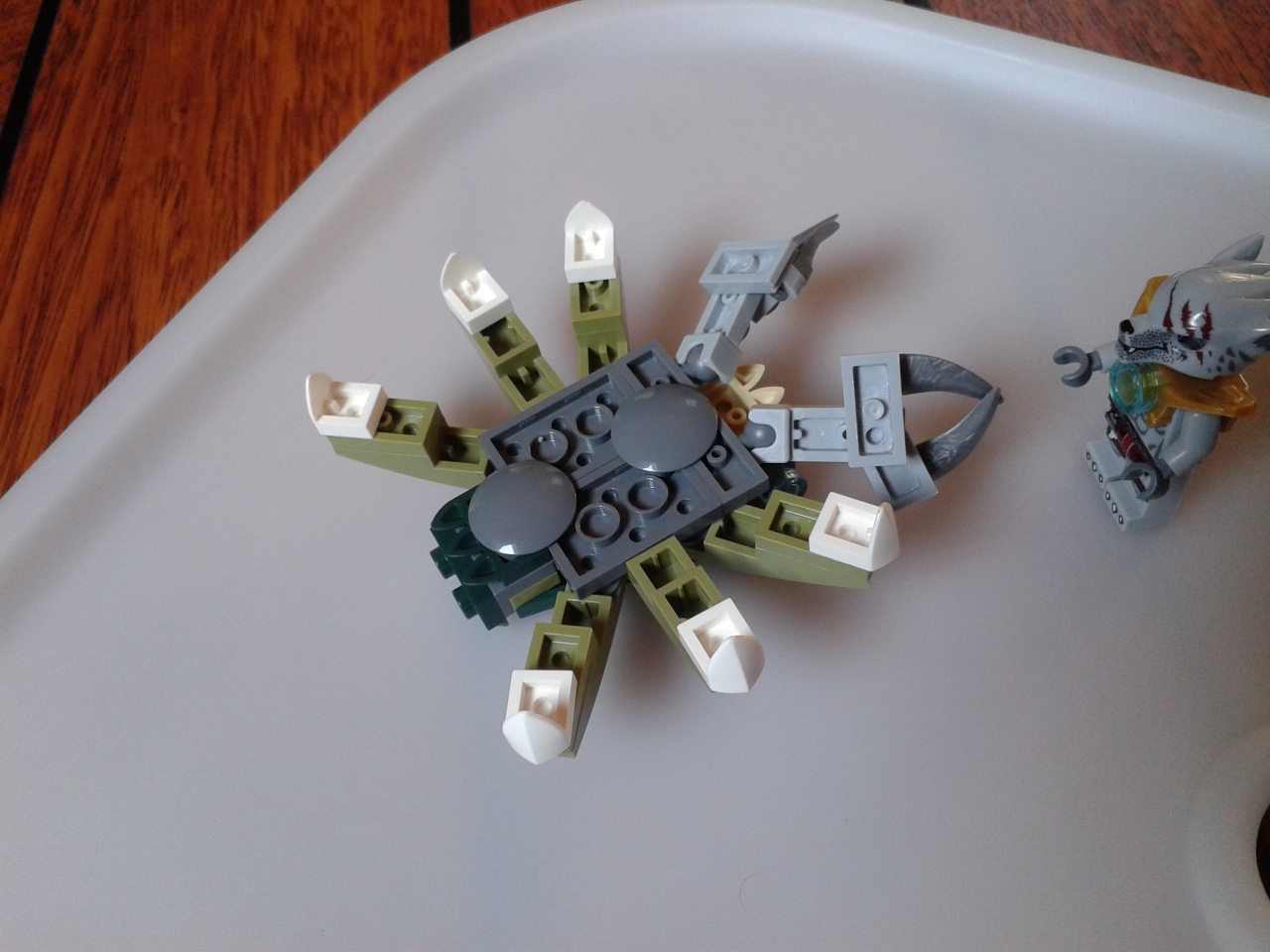 crab-5.jpg