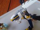 img-003.jpg