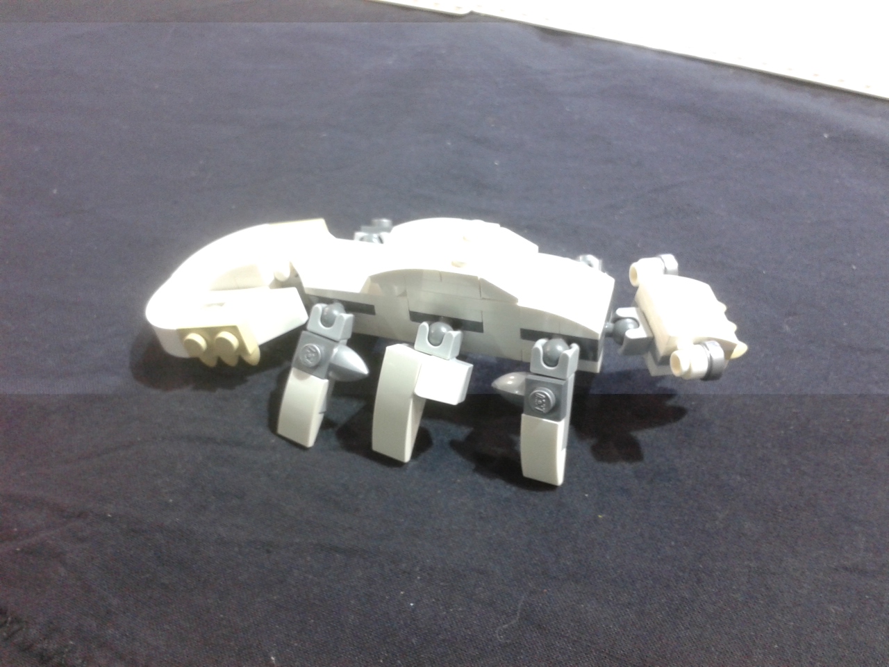 ant2.jpg