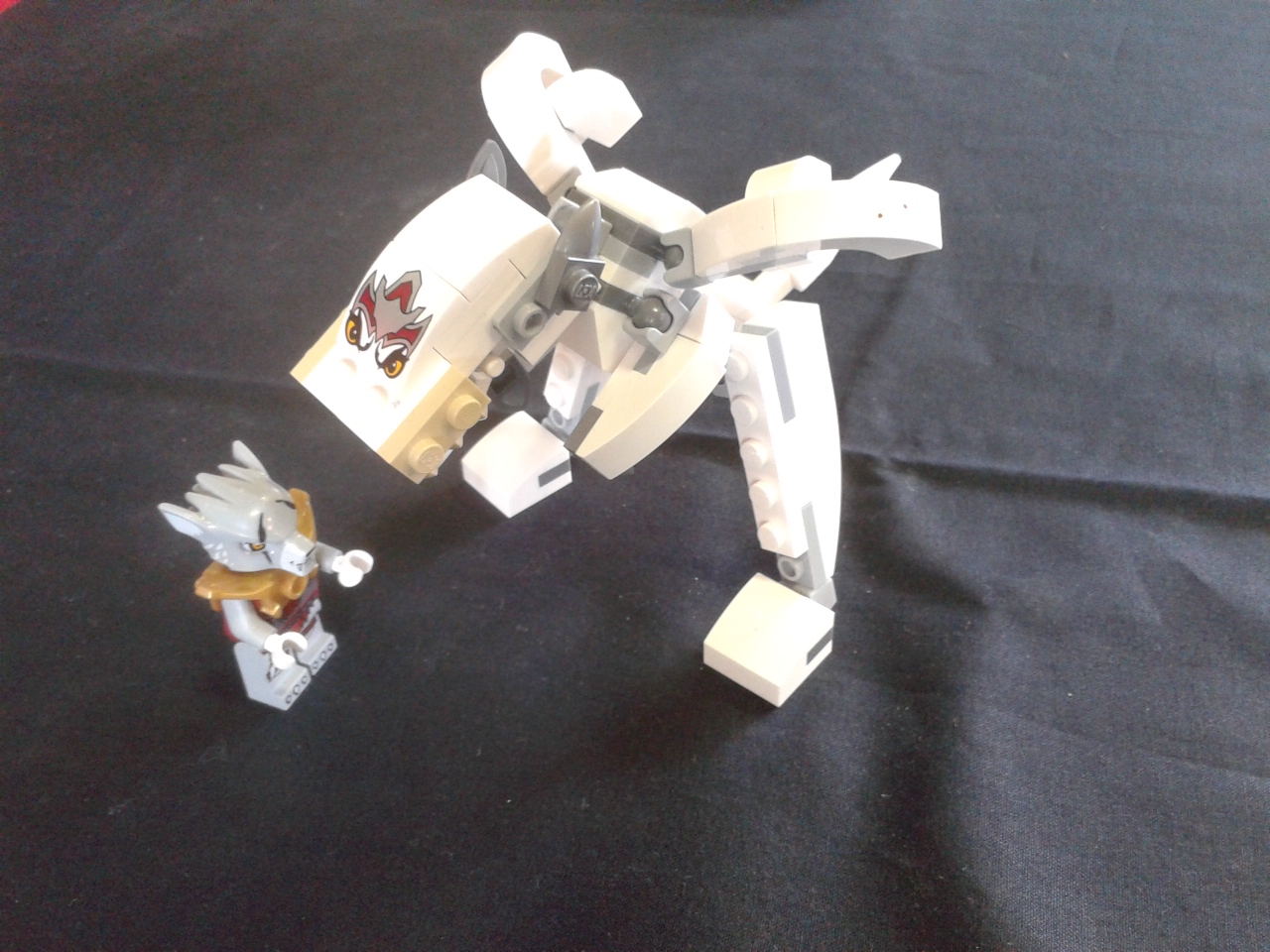 wolf-4.jpg
