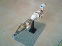 dsc00678.jpg