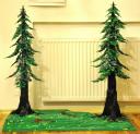 008_more_trees.jpg