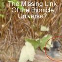 missinglink.gif