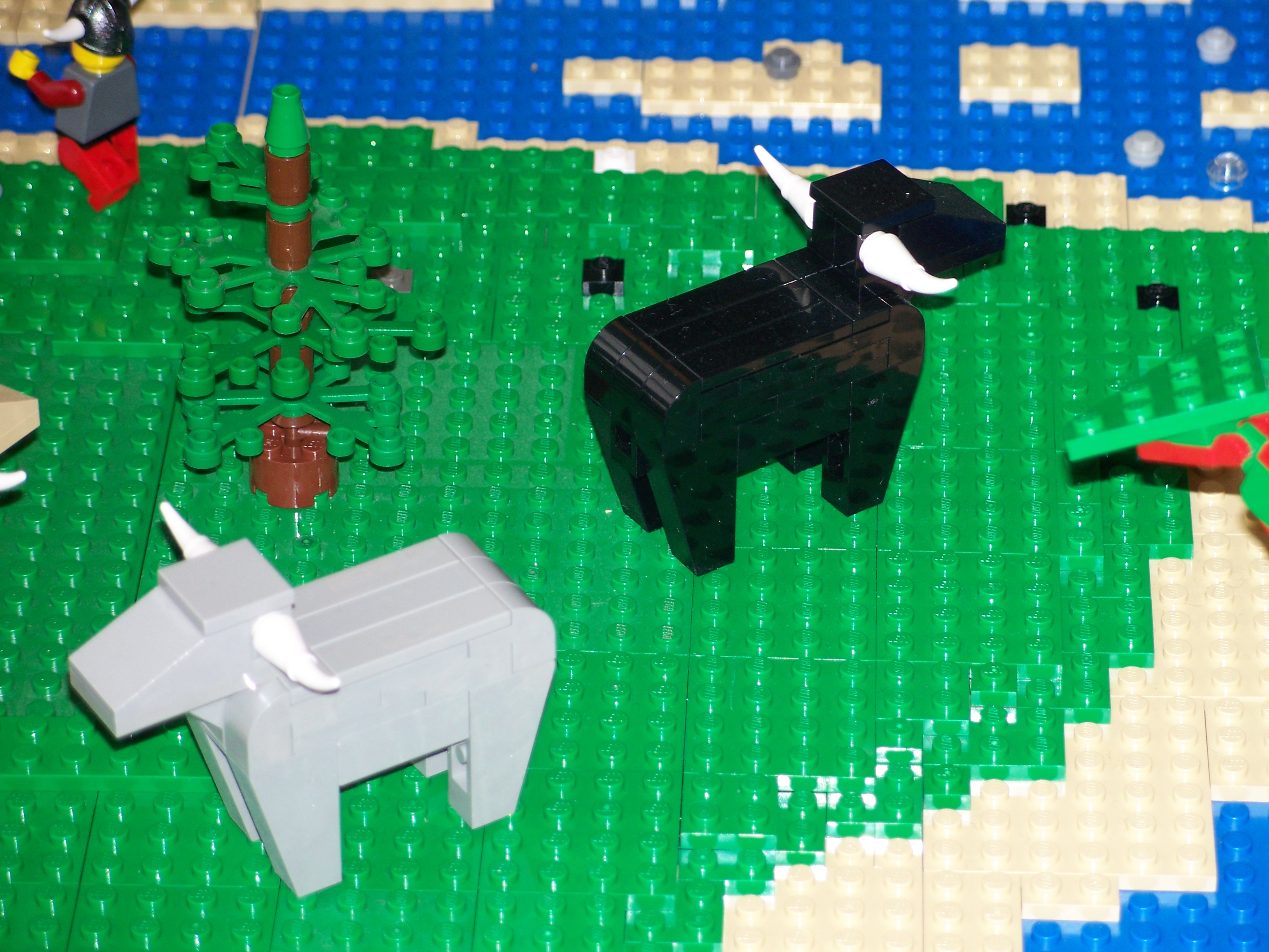 cattle.jpg