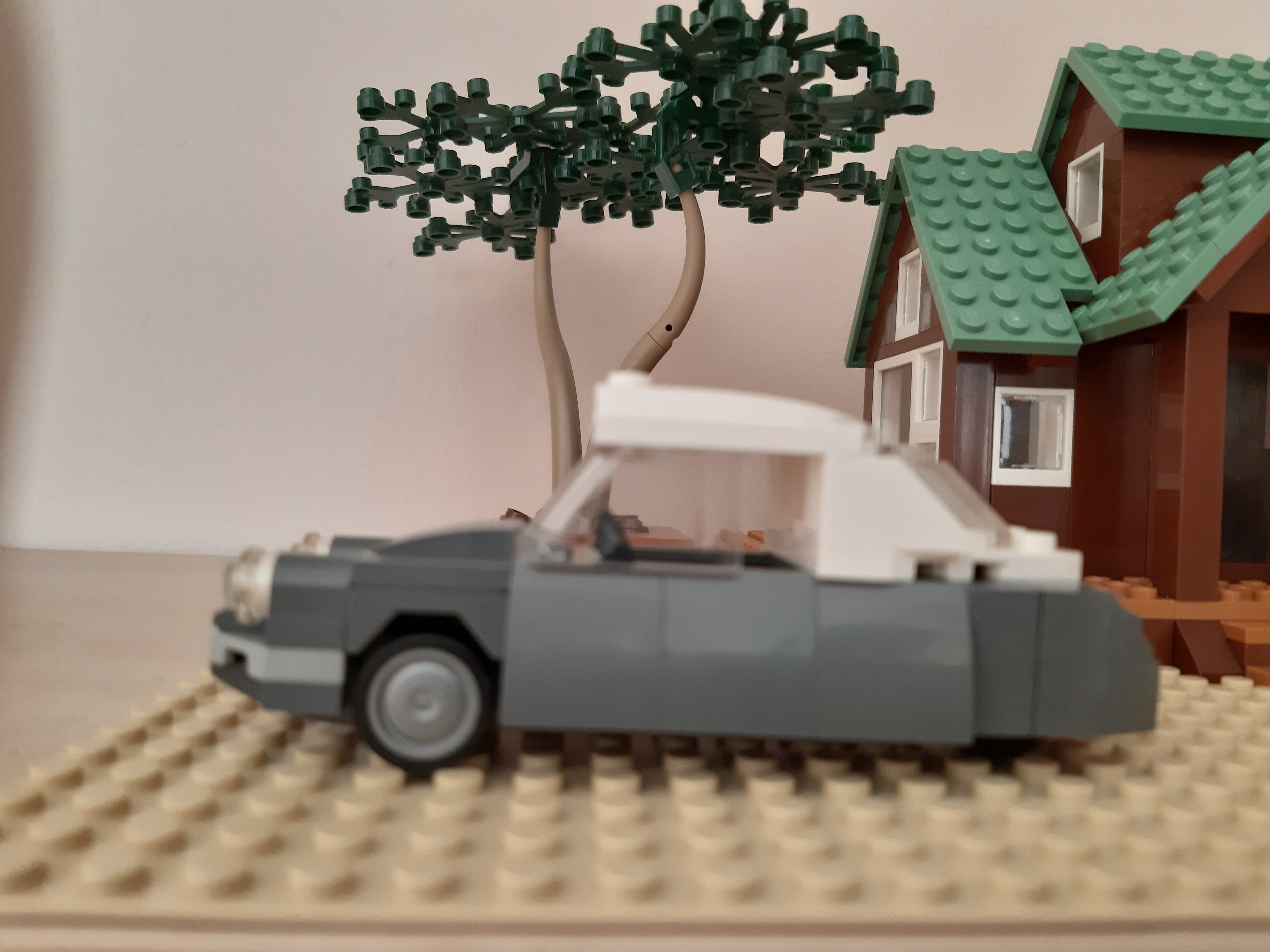 20191101_131412.jpg