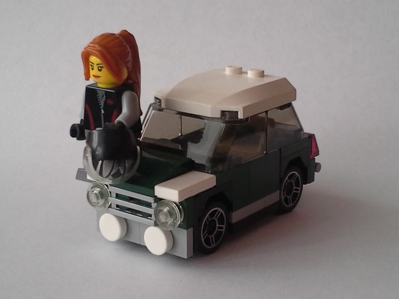 mini2.jpg