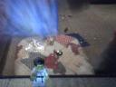 snapshot_20111113_13.jpg