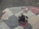 snapshot_20111113_15.jpg