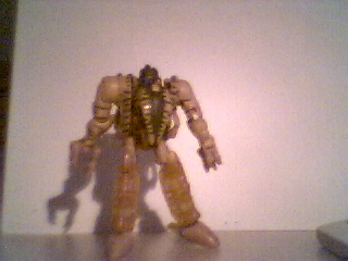 dinobot.jpg