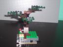 elivated_tree_veiw_1.jpg