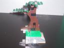 elivated_tree_veiw_2.jpg