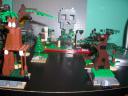 hyrule_field_closeup_veiw_1.jpg