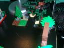 tree_closeup_1.jpg