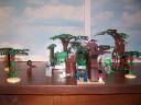 sacred_grove_back_veiw_.jpg