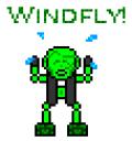 windfly-tranparent.gif