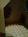 dsc00331.jpg