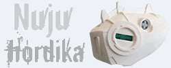 nuju_banner.png