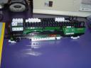 dsc04306.jpg