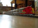 dsc00490.jpg