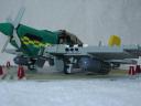 mustang_16.jpg