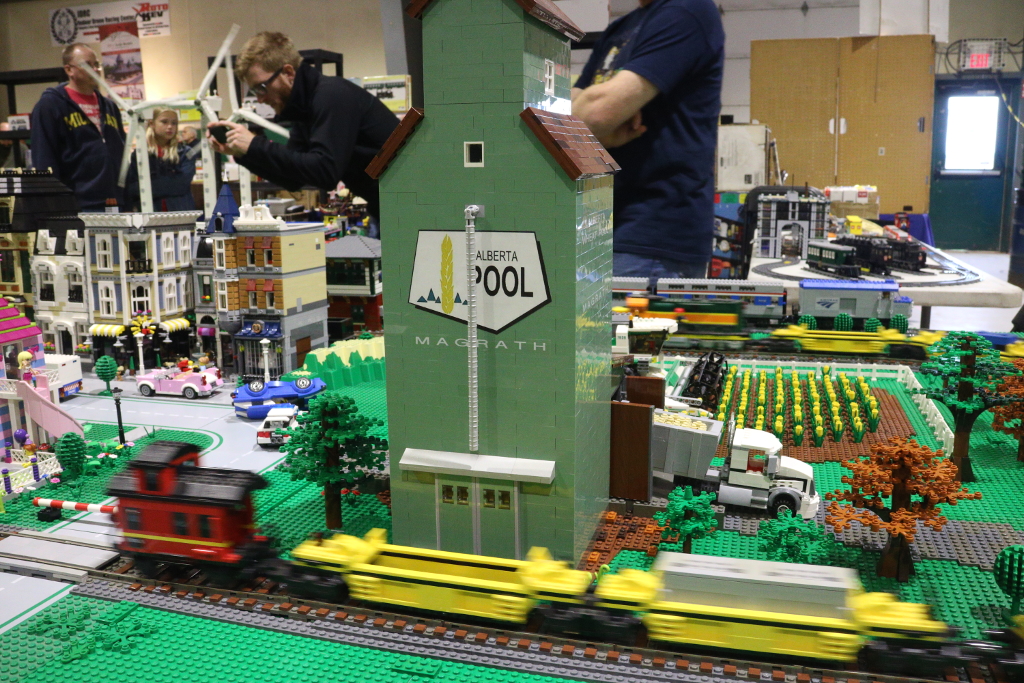 train5.jpg
