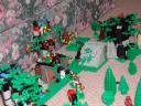 forestfortoverlook.jpg