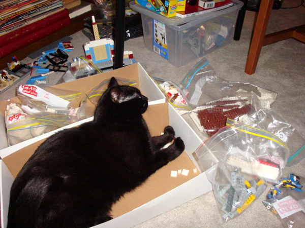 z-catassistsinpartsorting.jpg