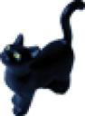 cat60.png