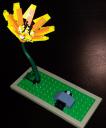 dscn5658.jpg