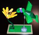 dscn5663.jpg