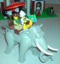 dsc00992.jpg