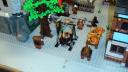 dsc01031.jpg
