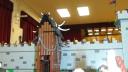 dsc01055.jpg