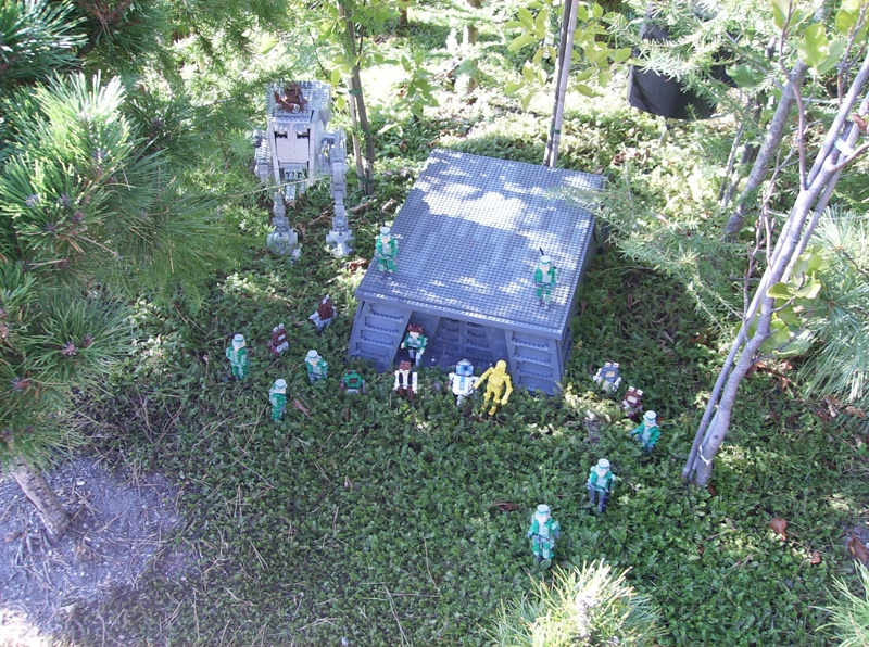 miniland024.jpg